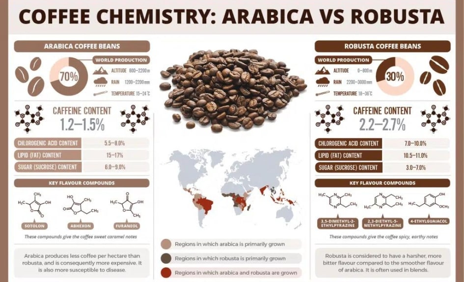 Arabica nebo Robusta_2-min